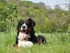 wurfkiste-15-5-11