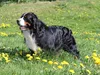 bilder-herr-merten-2-277