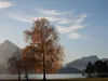rde-blau