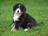 b-wurf-01-12-2014-006