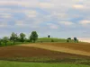 ruede-blau-17-11-2014-006