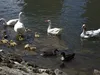 bilder-herr-merten-2-181