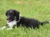 bilder-19-6-2011-herr-merten-133