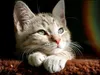 bilder-19-6-2011-herr-merten-207