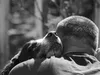 bilder-herr-merten-006