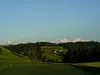 bilder-von-stick-040