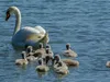 img_0319_1