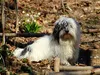 bilder-19-6-2011-herr-merten-032