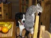 bilder-von-stick-025