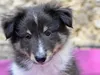 pamy-und-kimba-21-04-2013-img_1596