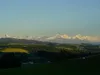 b-wurf-07-11-2014-037