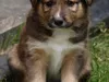 bilder-herr-merten-2-171