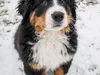 bilder-herr-merten-2-092_0