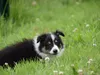 bilder-19-6-2011-herr-merten-172