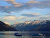 huendin-weiss-09-11-2014-008