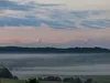 huendin-gelb-14-9-2012
