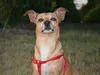bilder-13-6-2011-herr-merten-076