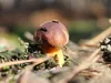 bilder-herr-merten-2-337