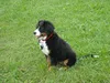 bilder-19-6-2011-herr-merten-025