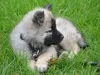 bilder-19-6-2011-herr-merten-113