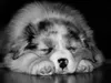 b-wurf-04-12-2014-003