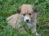 bilder-herr-merten-2-309