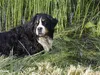 pamy-passt-auf-08-12-2014-001-2