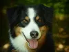 bilder-von-stick-061