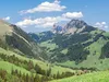 img_0790