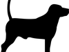aaron-genannt-moritz