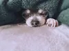p027_0_6
