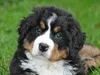 bilder-19-6-2011-herr-merten-019