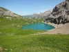 huendin-gelb-2-wochen-alt-30-8-2012
