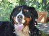 b-wurf-05-12-2014-009
