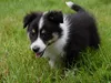 bilder-herr-merten-2-165
