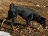 bilder-herr-merten-2-005