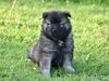 bilder-19-6-2011-herr-merten-139