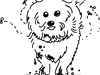 29. Mai 2011