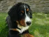 pamy-passt-auf-08-12-2014-001-1