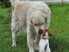 bilder-herr-merten-2-023