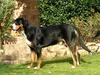 bilder-19-6-2011-herr-merten-022